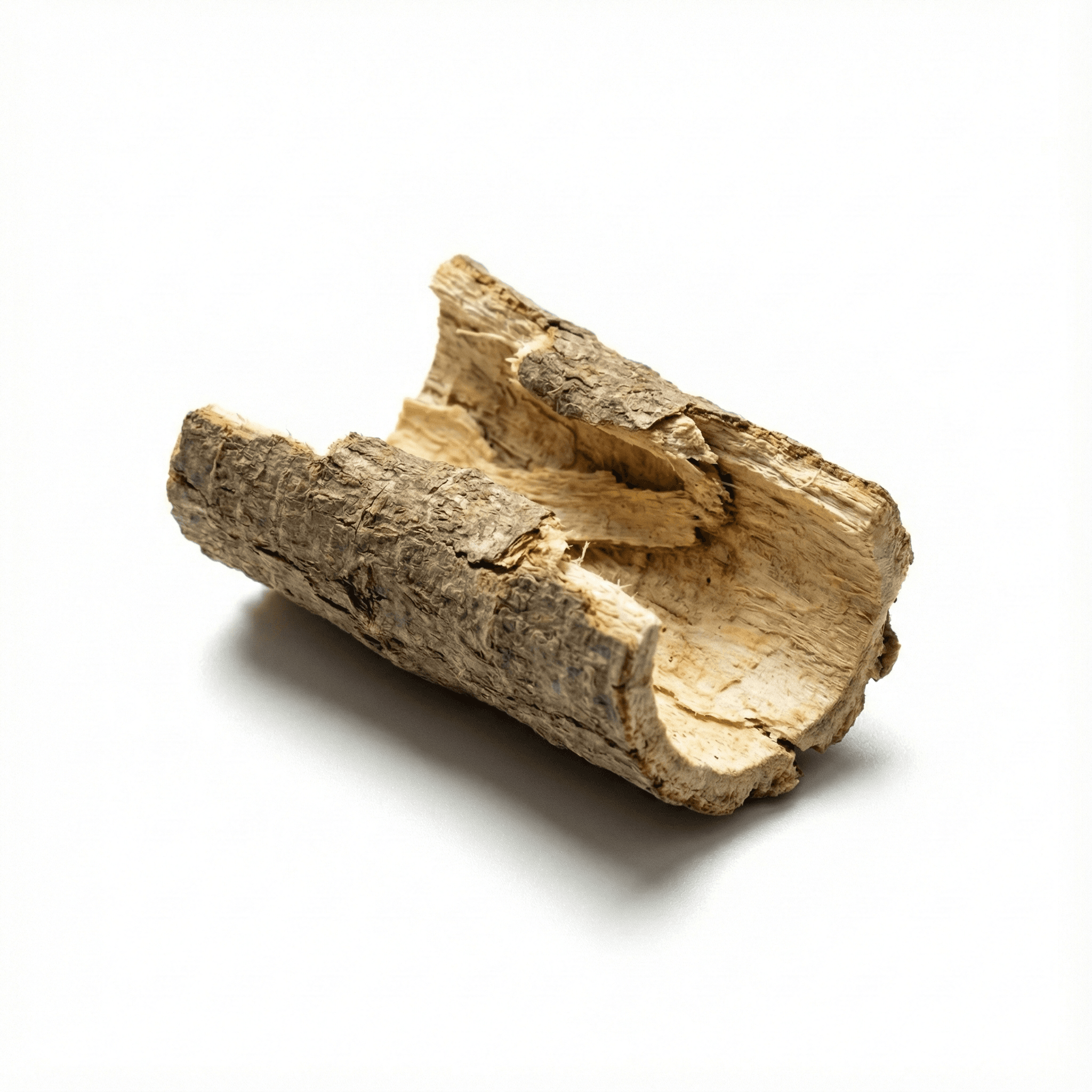 Dense Fruit Dittany Root Bark (Bai Xian Pi)