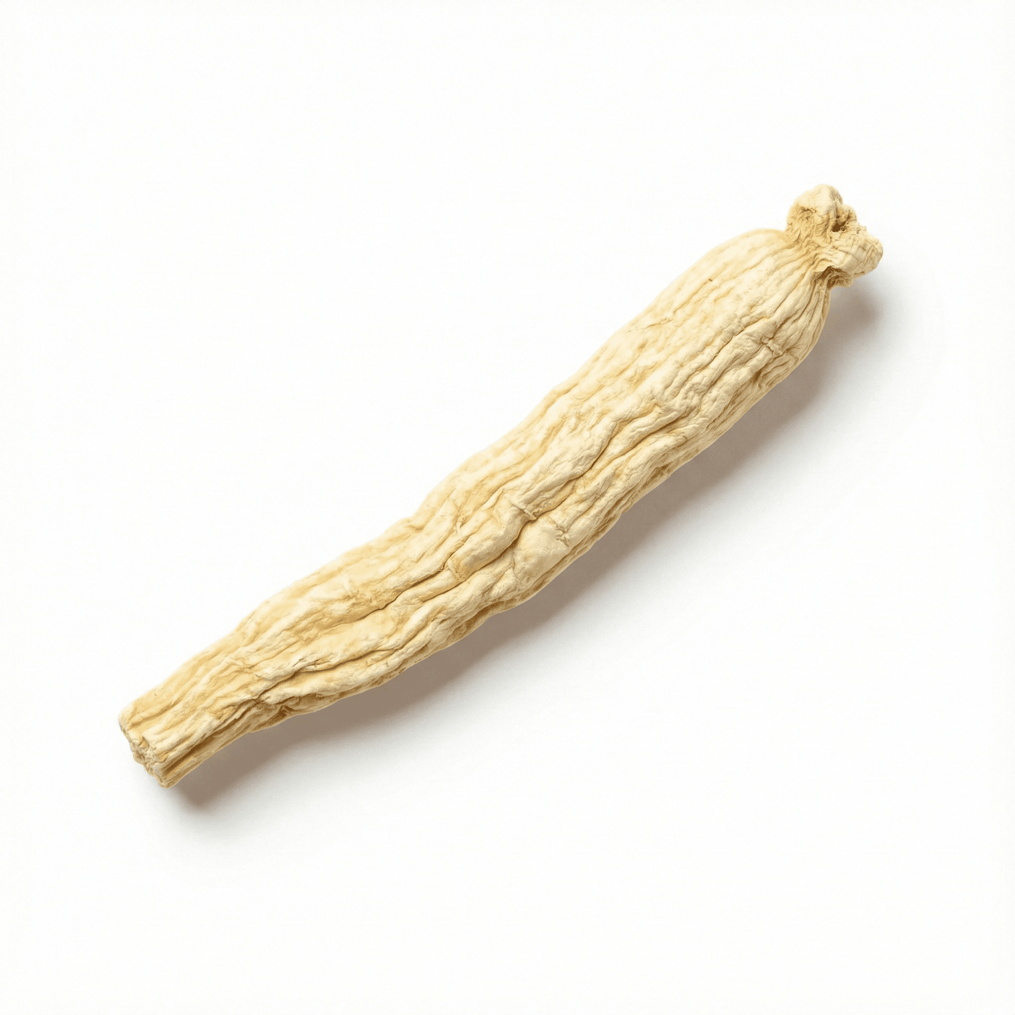 Coastal Glehnia Root (Bei Sha Shen)