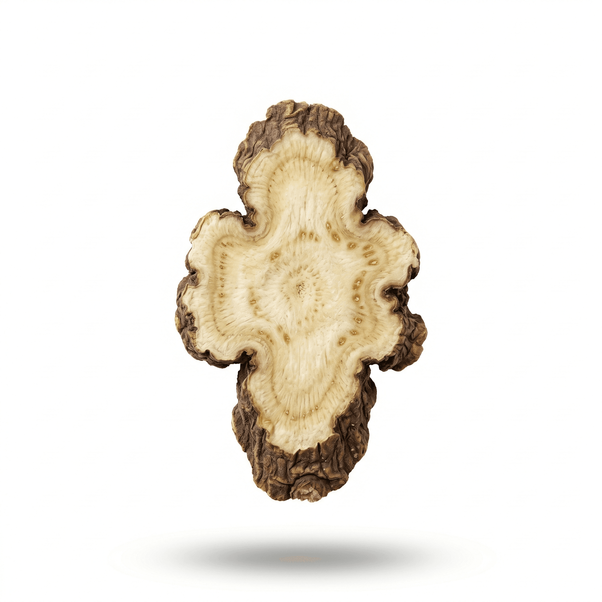 Chinese Lovage Root (Gao Ben)