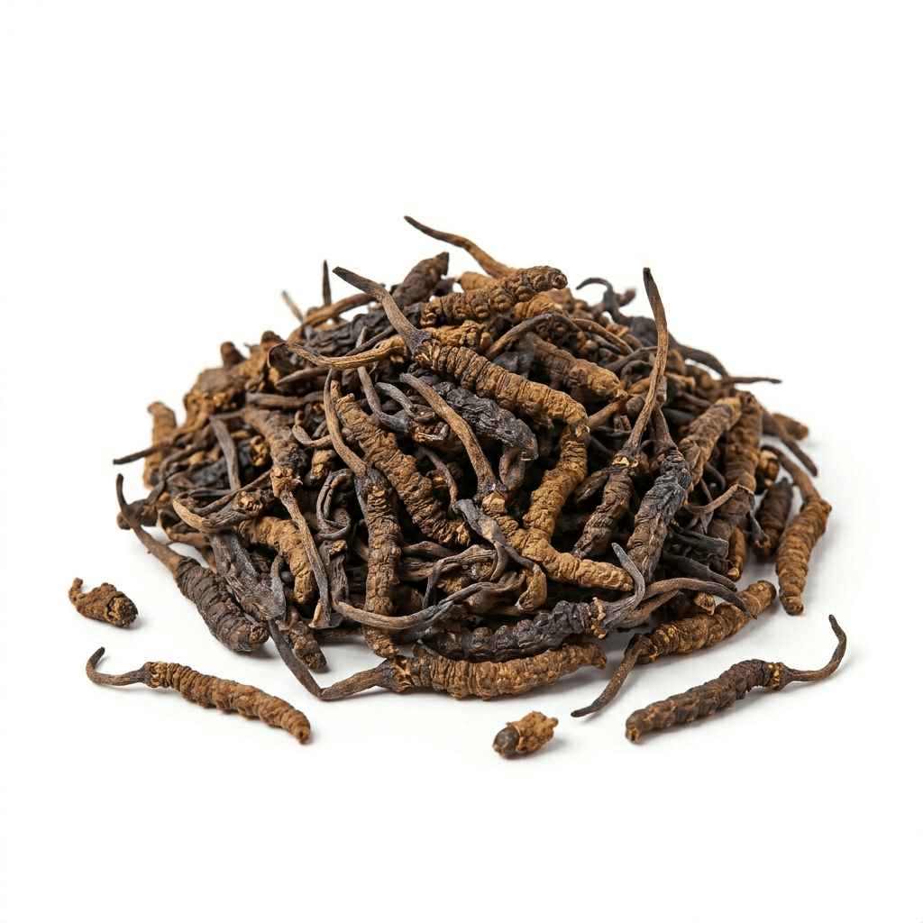 Cordyceps (Ophiocordyceps sinensis) (Dōngchóngxiàcǎo)