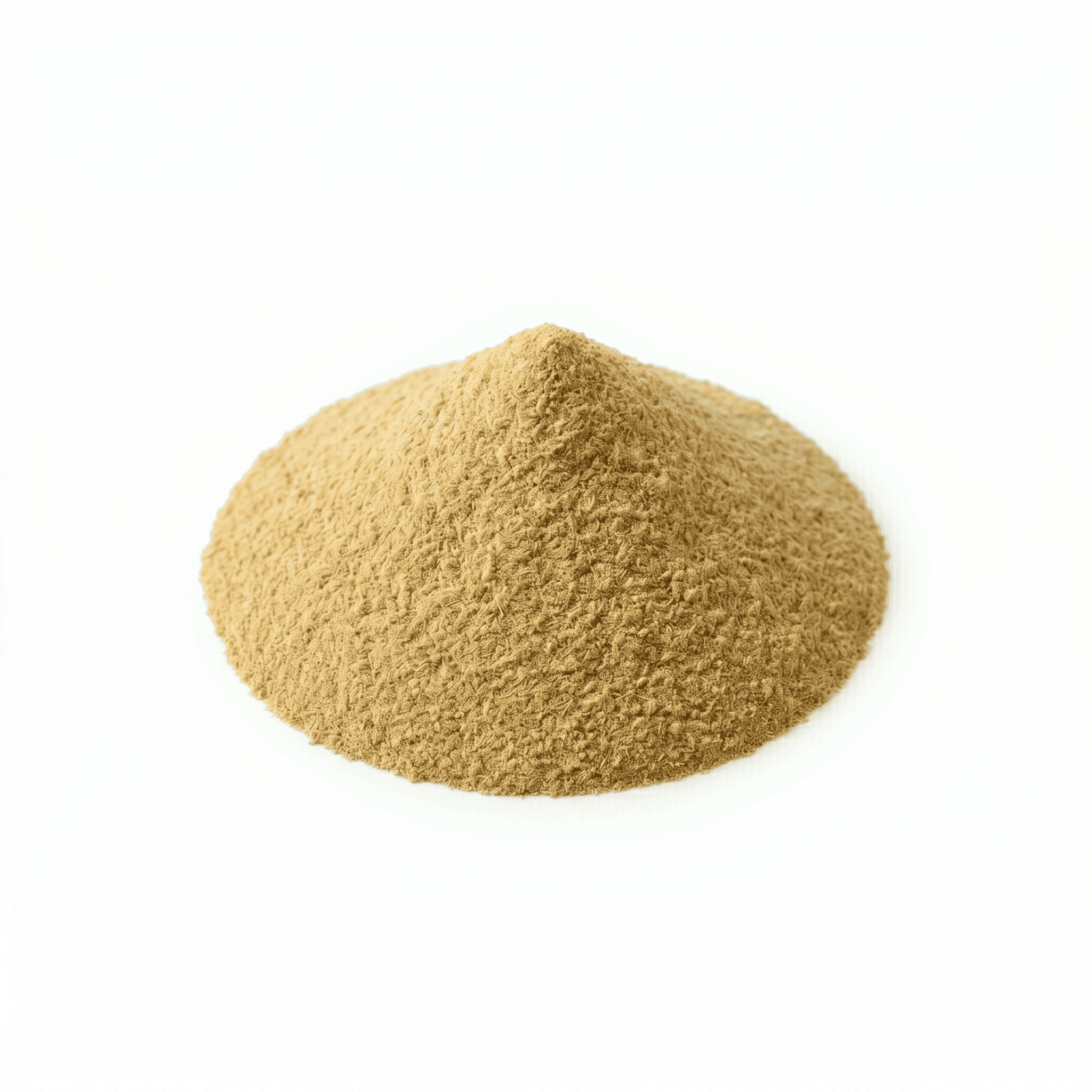 Dried Fennel Seed Powder (Huí xiāng zǐ fěn / xiǎo huí xiāng zǐ fěn)