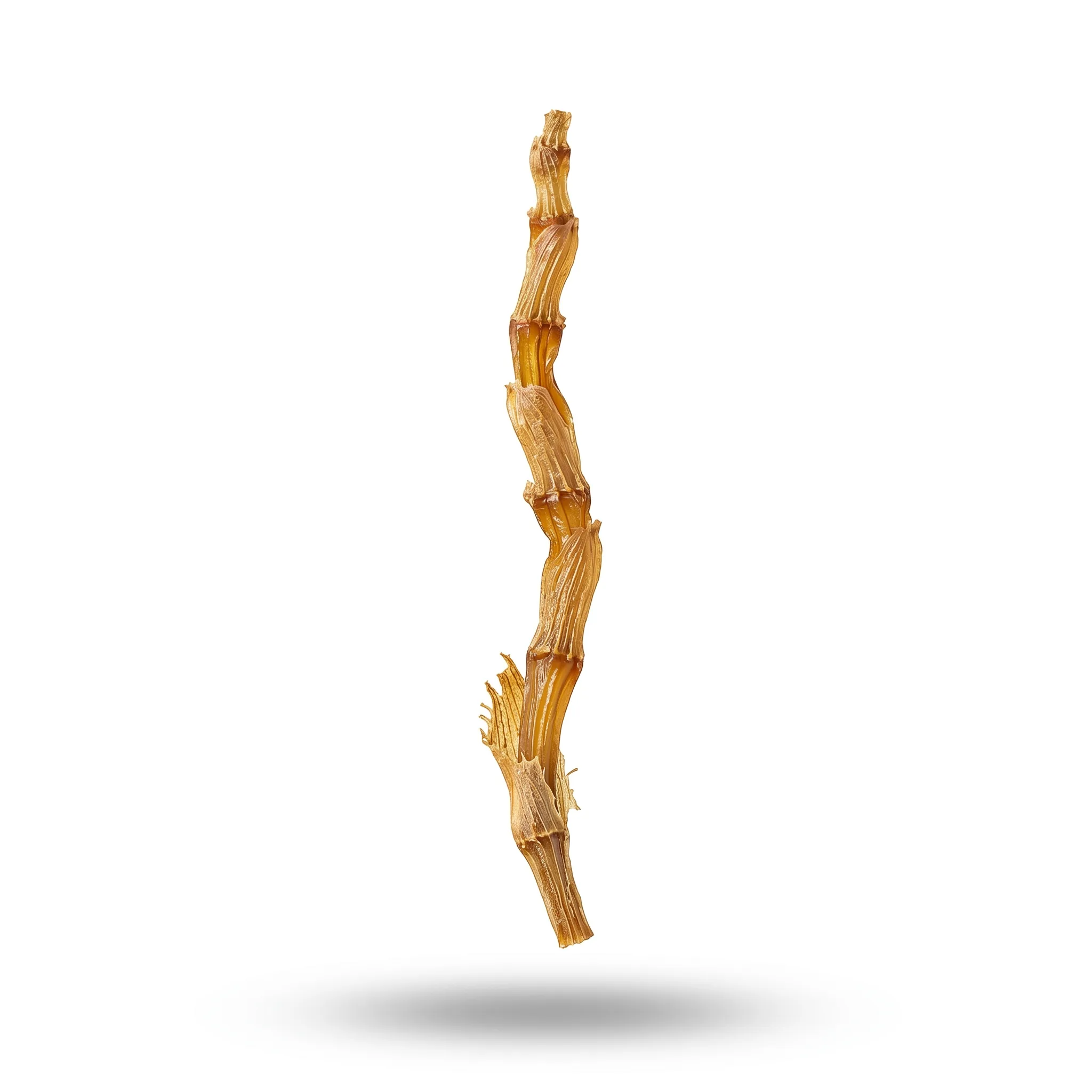 Fimbriate Dendrobium Stem (Liu Su Shi Hu)