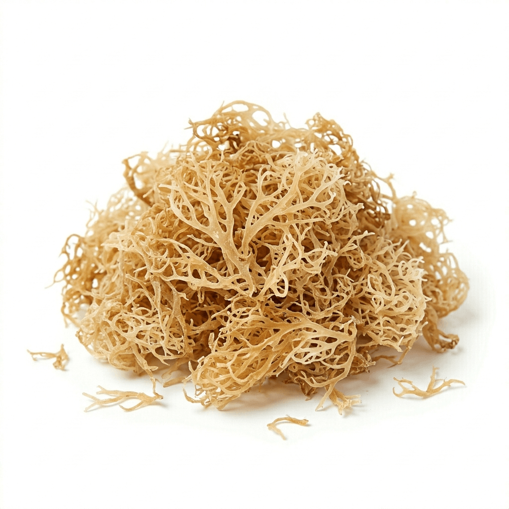 Sea Moss (Hǎizǎo jiāo)