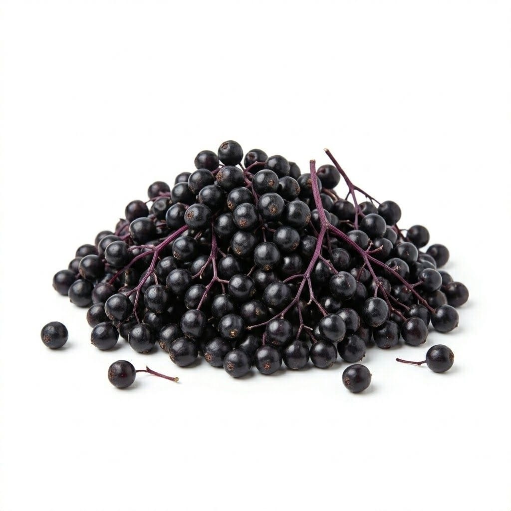 Elderberry (Jiē gǔ mù méi)