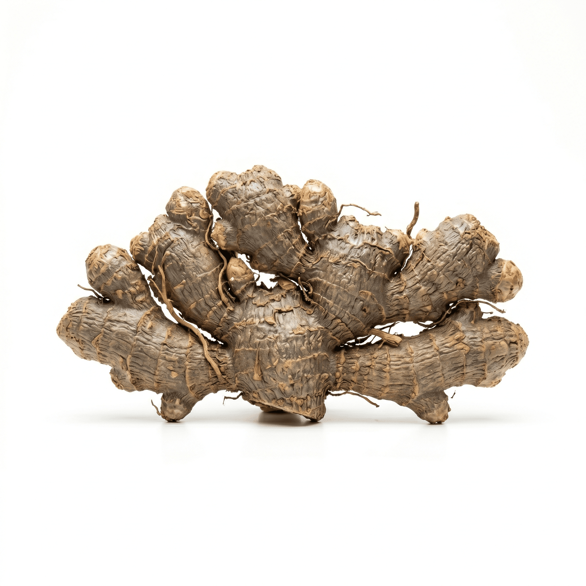 Angelica Pubescens Root (Du Huo)