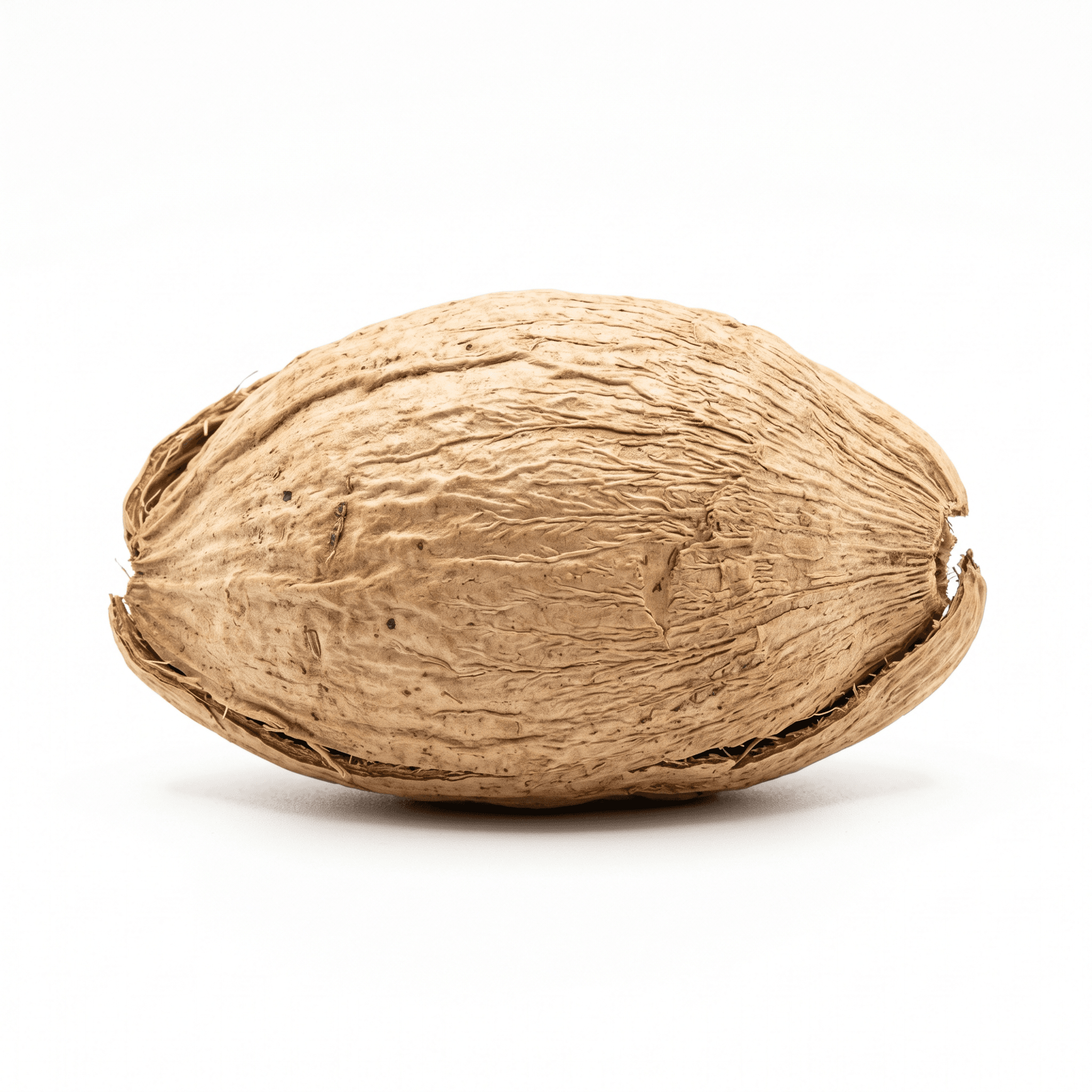 Areca Peel (Da Fu Pi)