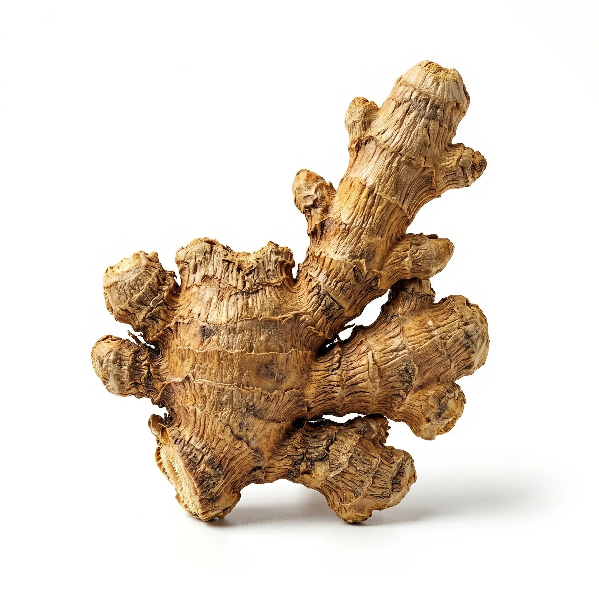 Dried Ginger Rhizome (Gan Jiang)