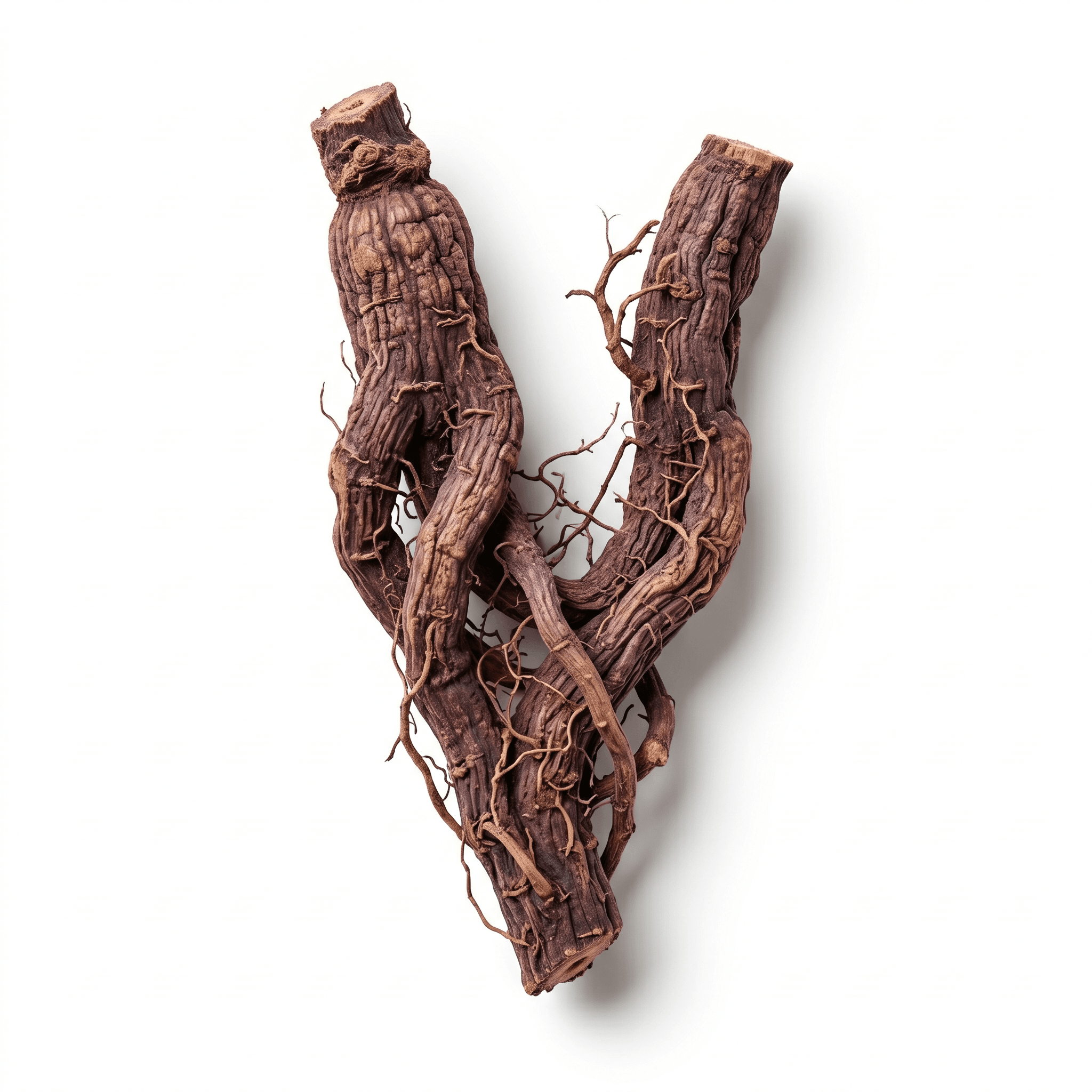 Gromwell Root (Zi Cao)