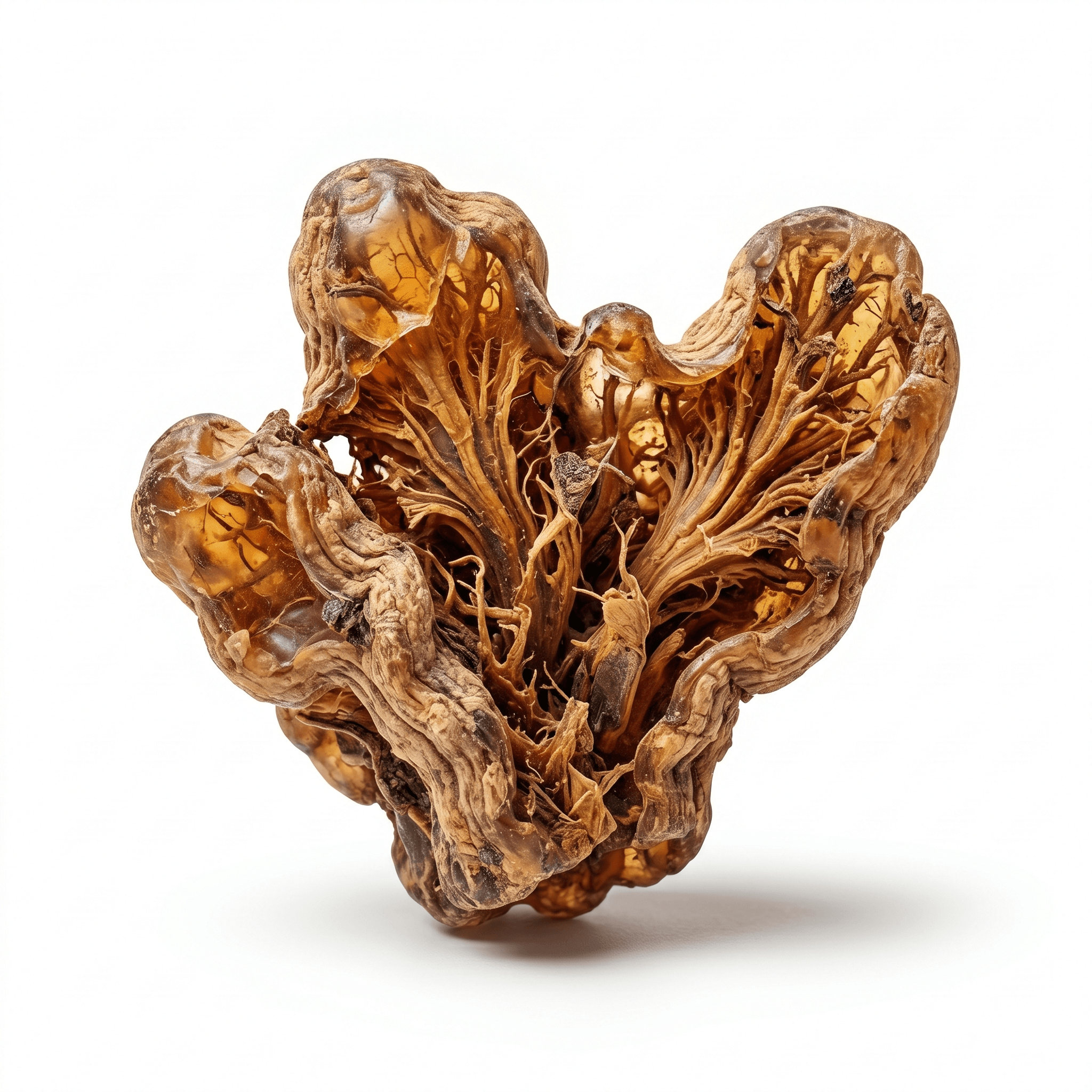 Guar Gum (Guā'ěr jiāo)