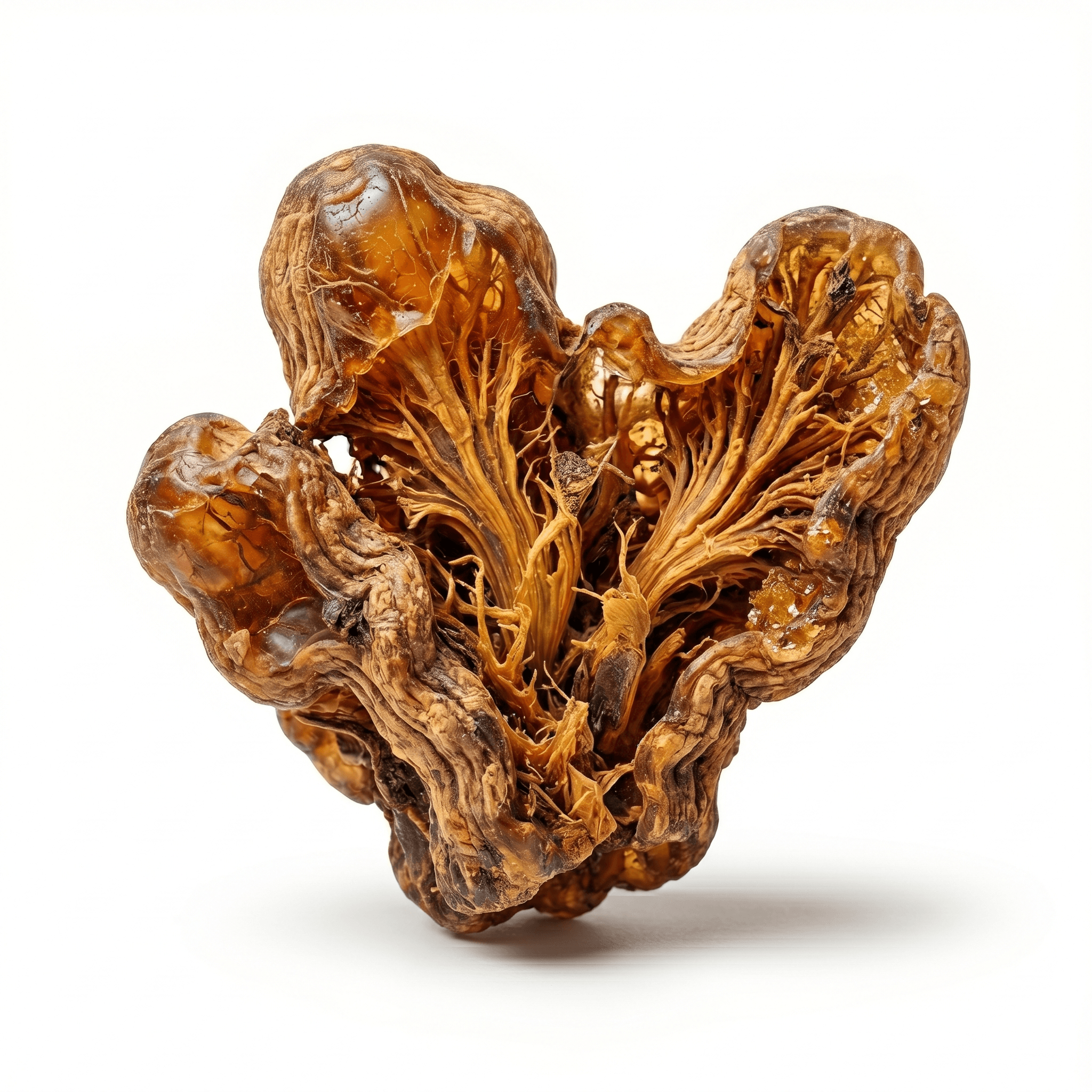 Honey-Fried Baical Skullcap Root (Zhi Huang Qin)