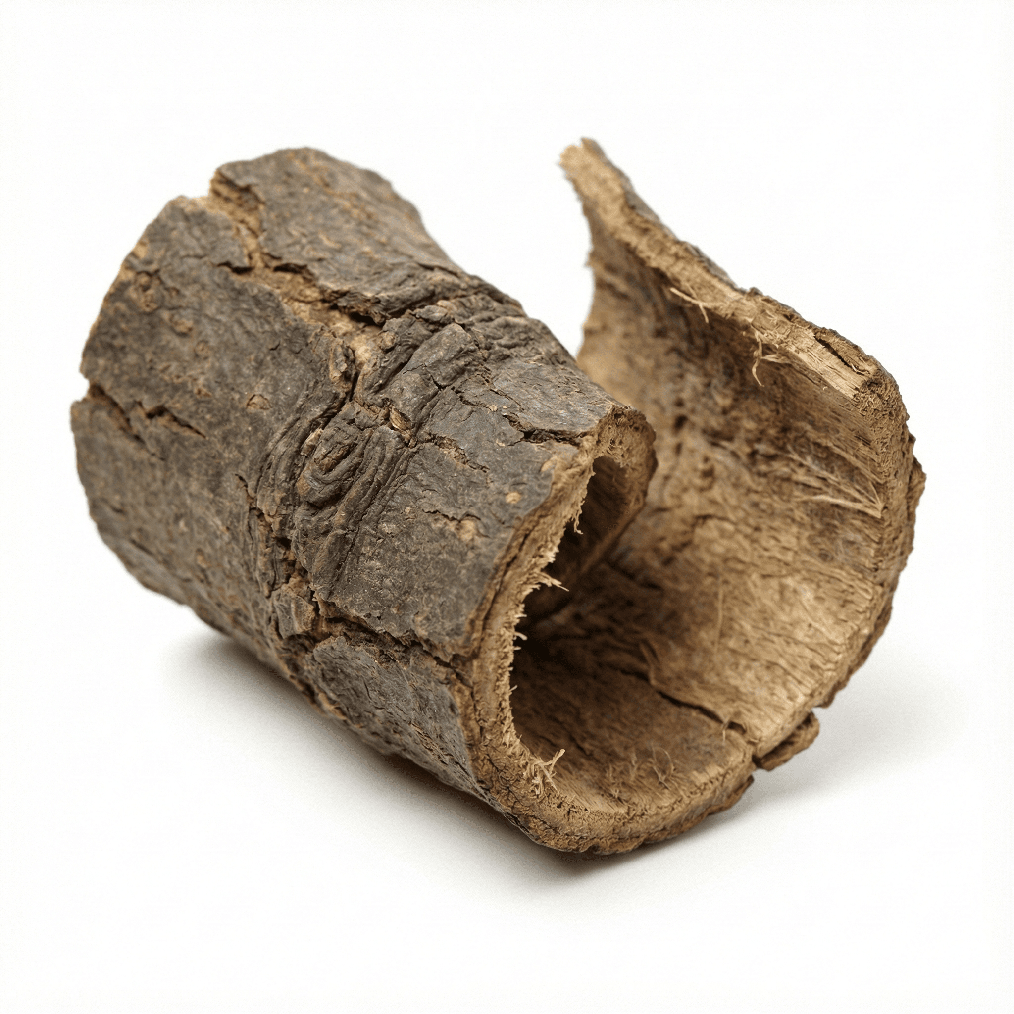 Acanthopanax Bark (Wu Jia Pi)