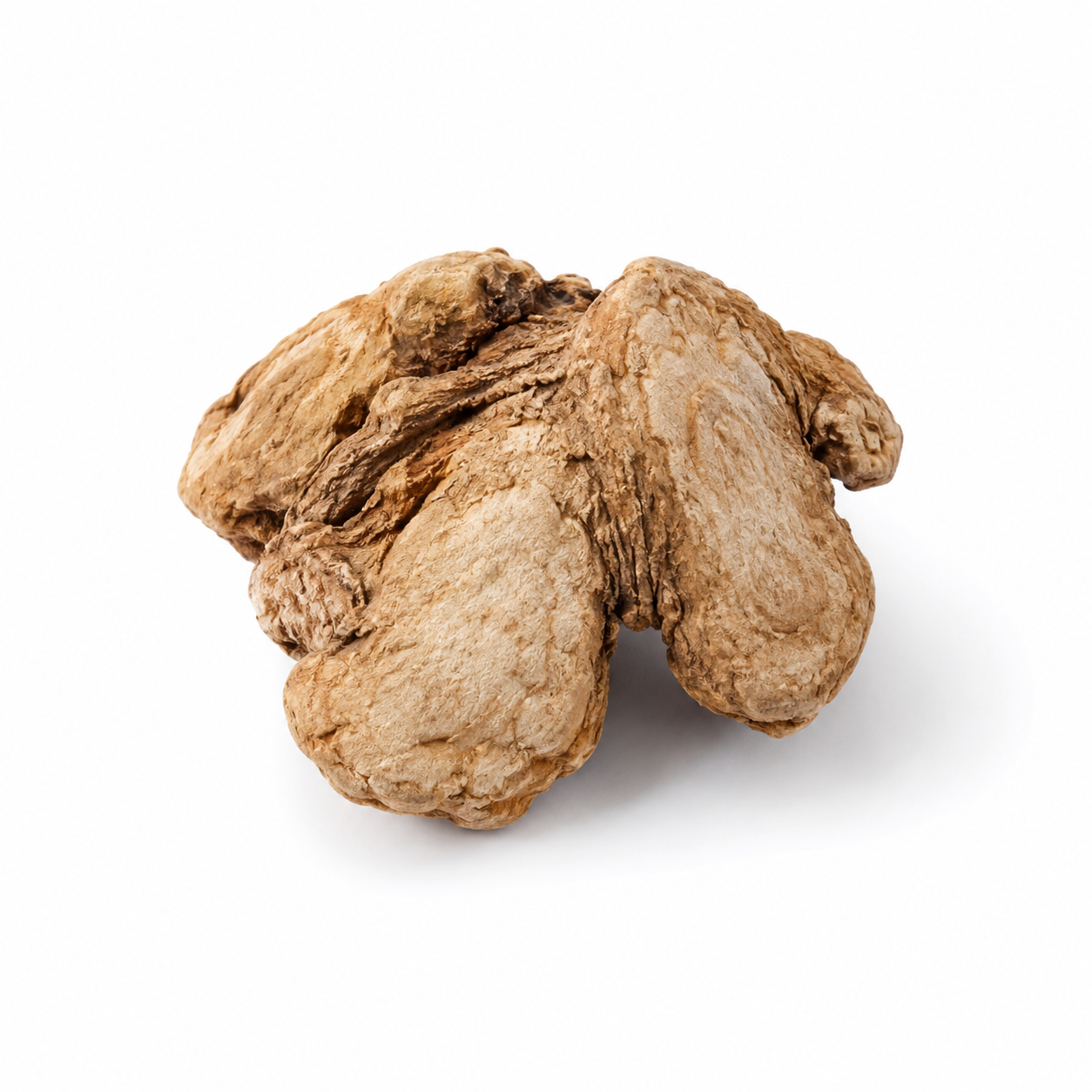Pinellia Ginger-cured Rhizome (Ban Xia (Jiang))