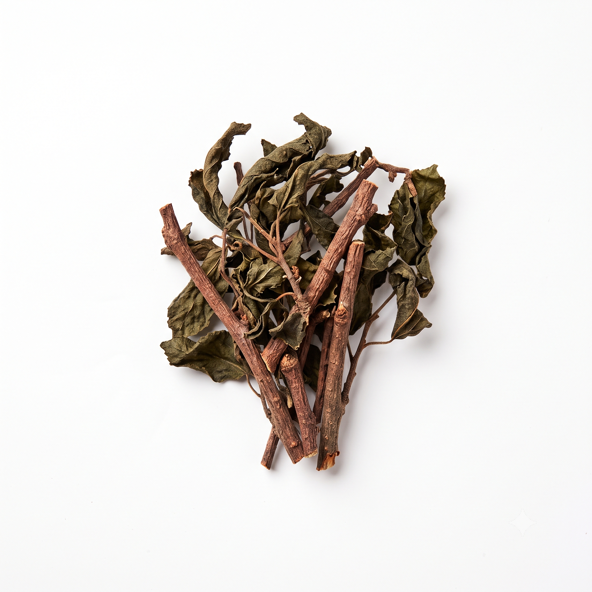 Mulberry Mistletoe (Sang Ji Sheng)