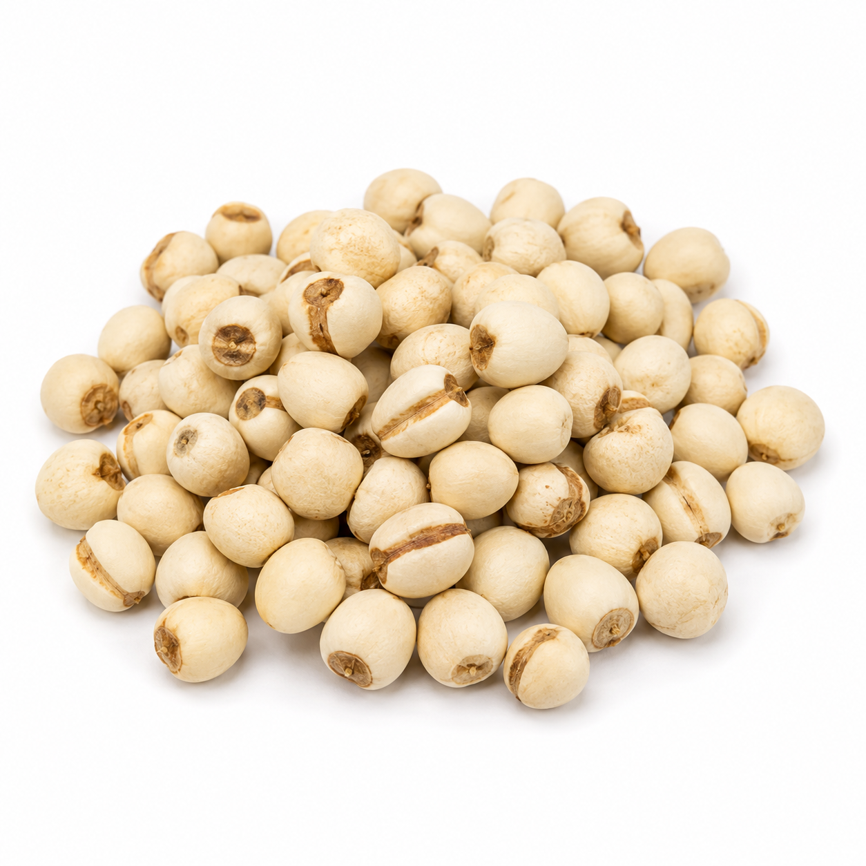 Non-Glutinous Rice Seed (Geng/Jing Mi)