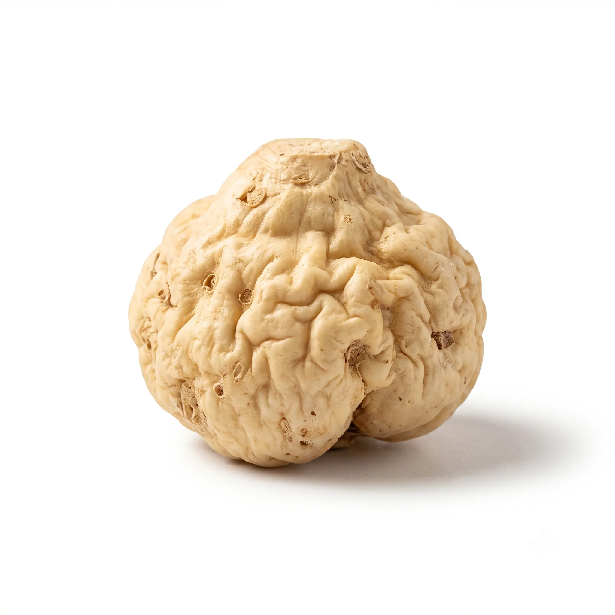 Pinellia Rhizome (Ban Xia)