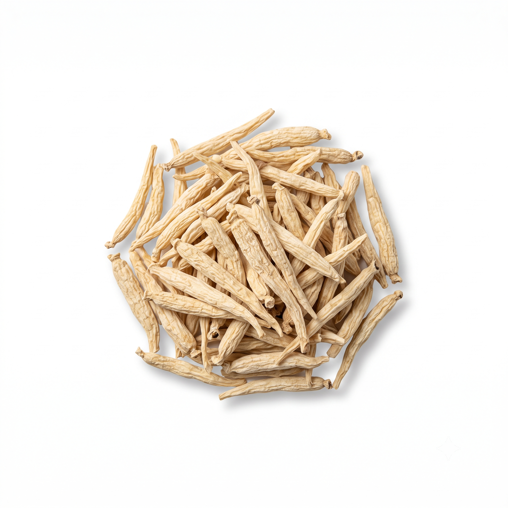 Pseudostellaria Root (Tai Zi Shen)