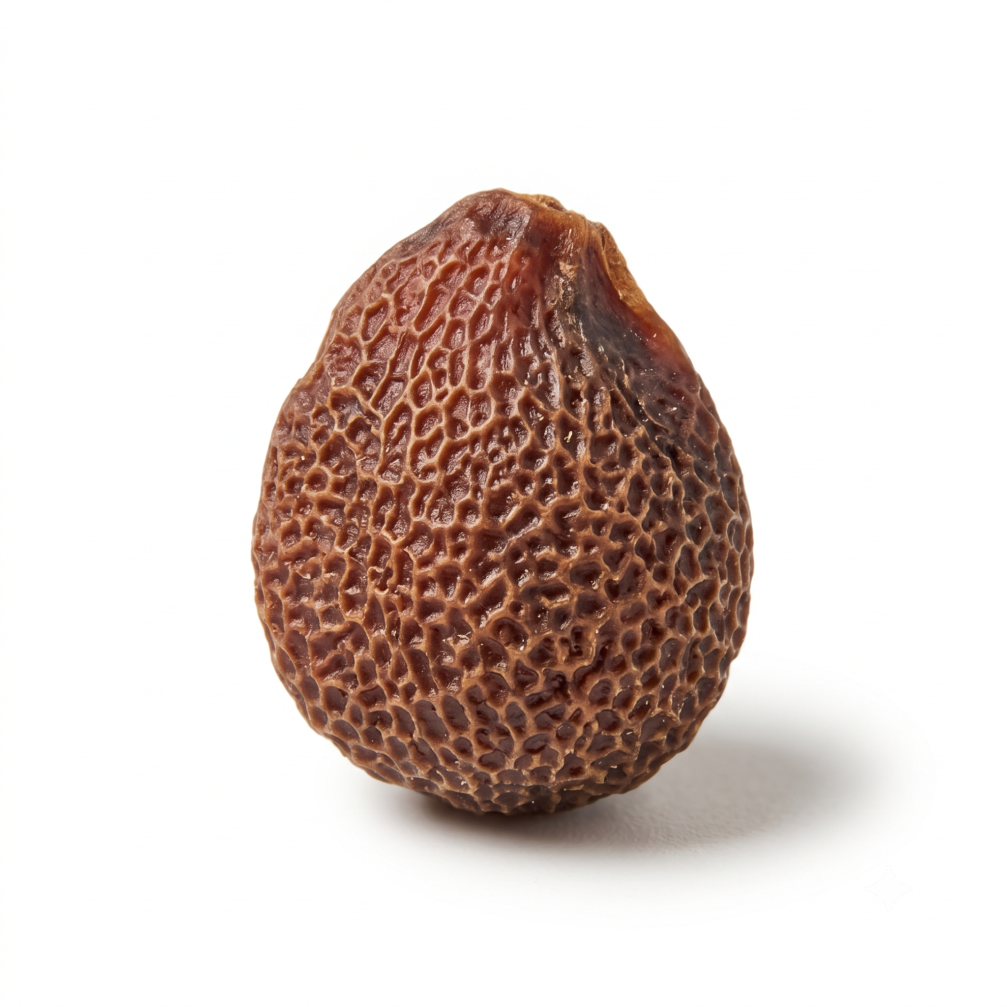 Radish Seed (Lai Fu Zi)