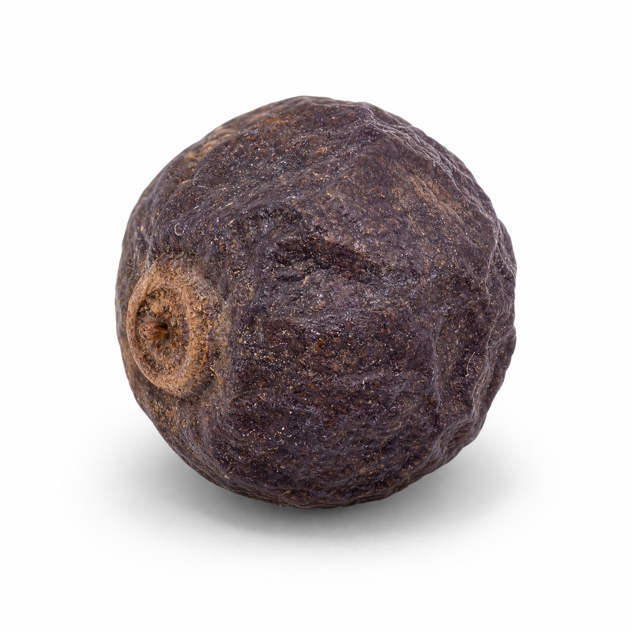 Shrub Chastetree Fruit (Man Jing Zi)