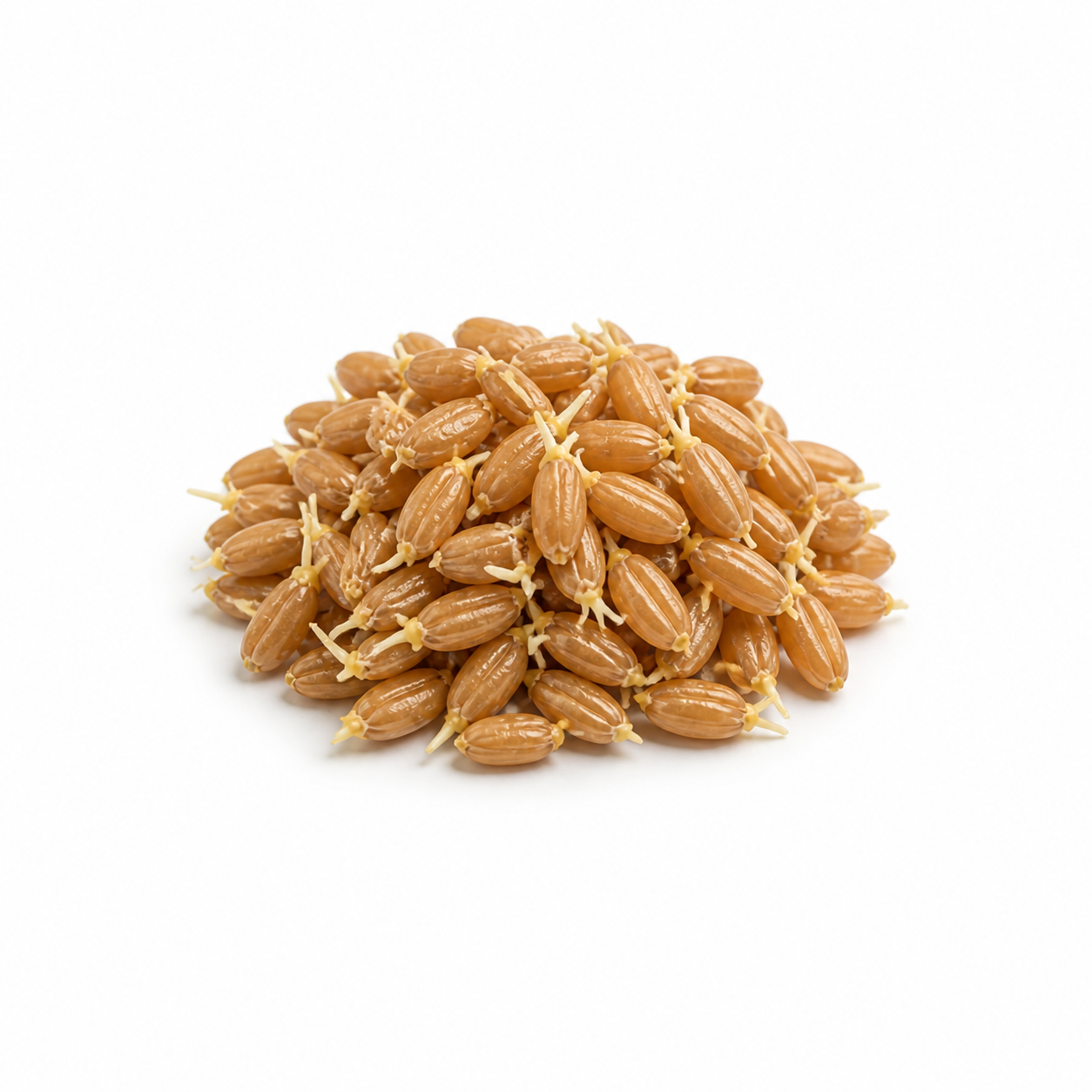 Sprouted Rice (Gu Ya)