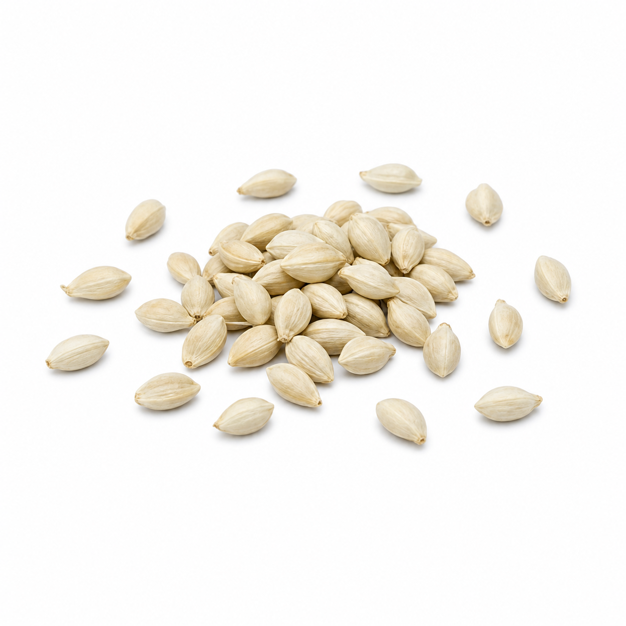 Tangerine Seed (Ju He)
