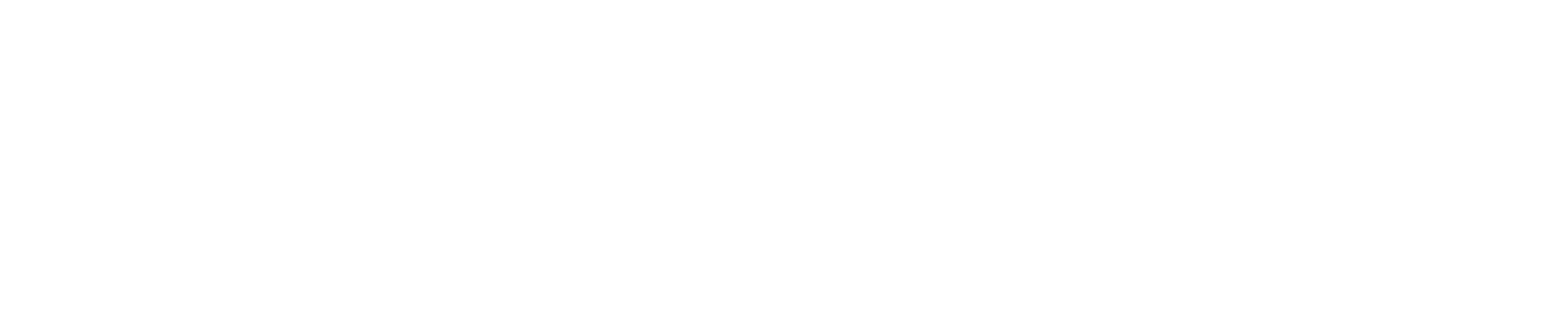 Weinsch logo white